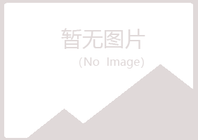 山西字迹能源有限公司